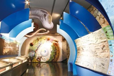 🦋 가시하라시 곤충관(카시하라시콘츄칸) 이미지 2